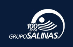 grupo-salinas Grupo Textil Publitext